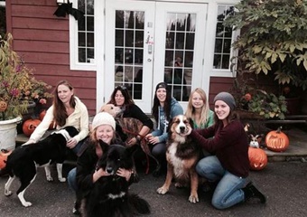 pet day care whistler