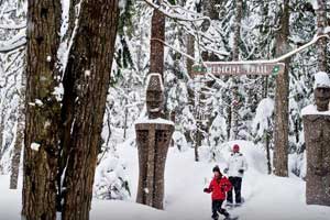 whistler medicine tral