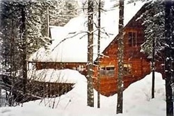 pet friendly vacation rental in whistler canada, vacation rentals with dogs allowed in whistler canada