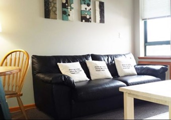 pet friendly by ownervacation rental in whistler