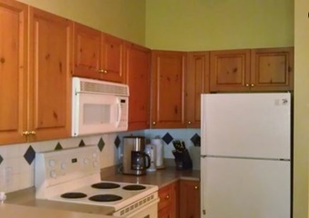 pet friendly by ownervacation rental in whistler